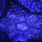 Scientific Projection Lamp LED Highlighting Romantic Four Seasons Star Projector