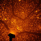Scientific Projection Lamp LED Highlighting Romantic Four Seasons Star Projector